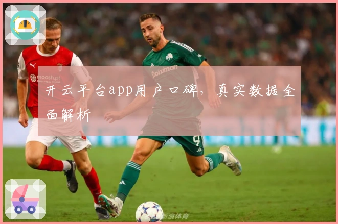 开云平台app用户口碑，真实数据全面解析