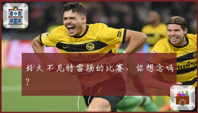 好久不见特雷杨的比赛，你想念吗？