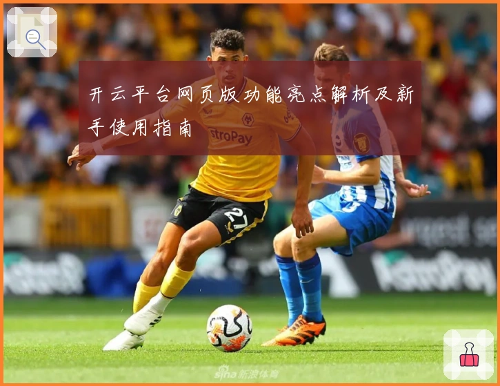 开云平台网页版功能亮点解析及新手使用指南