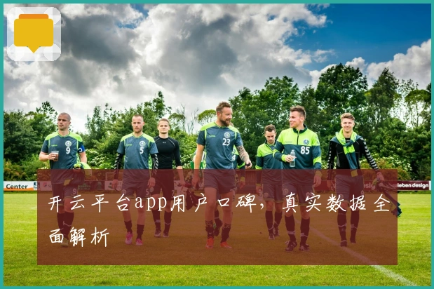 开云平台app用户口碑，真实数据全面解析